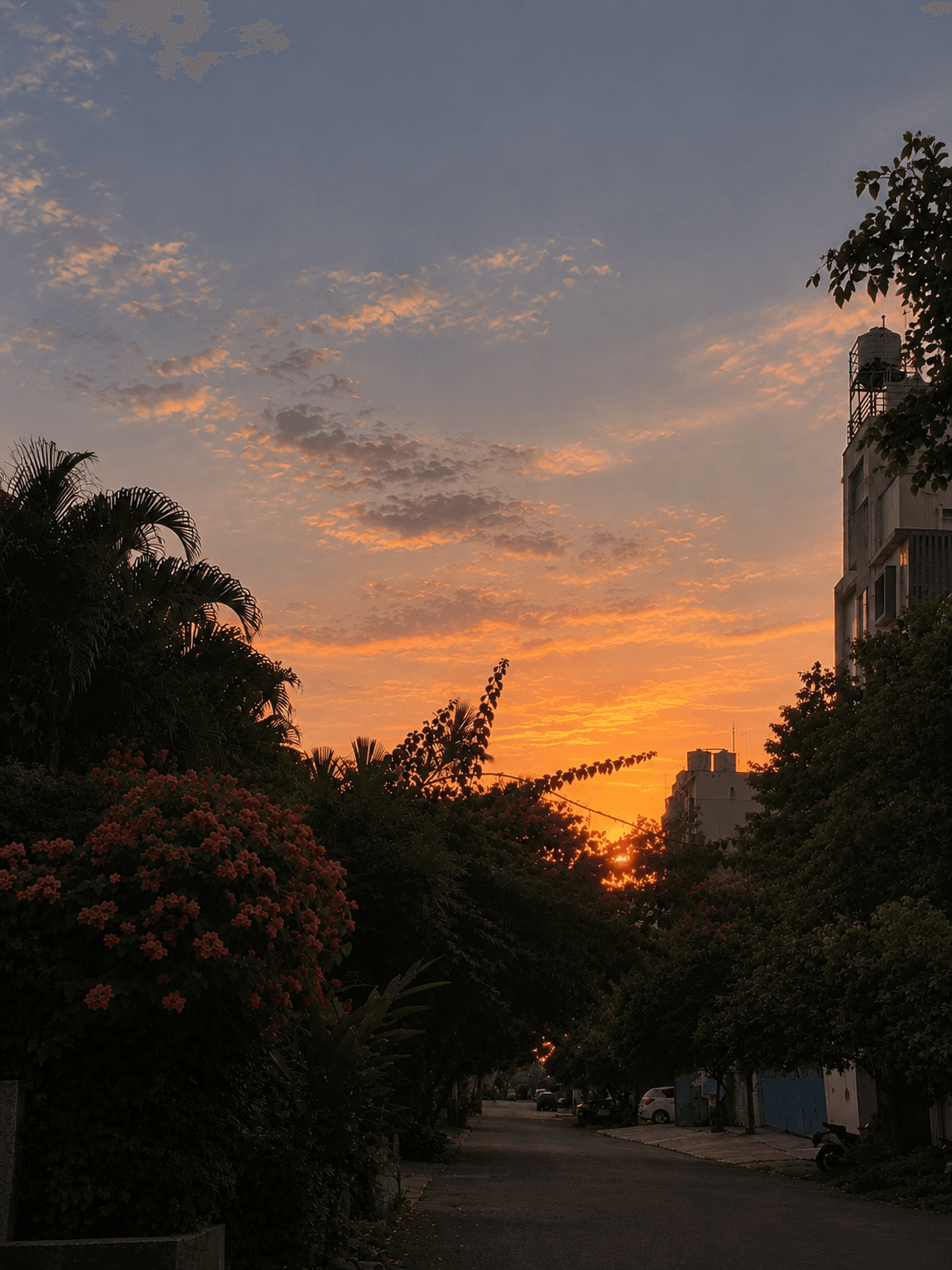 Sunset
