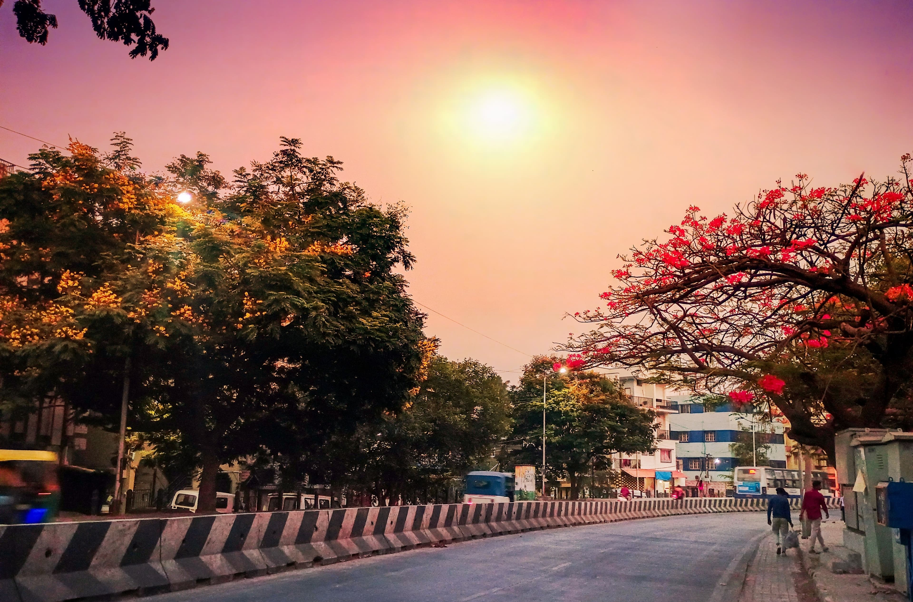 Sunset