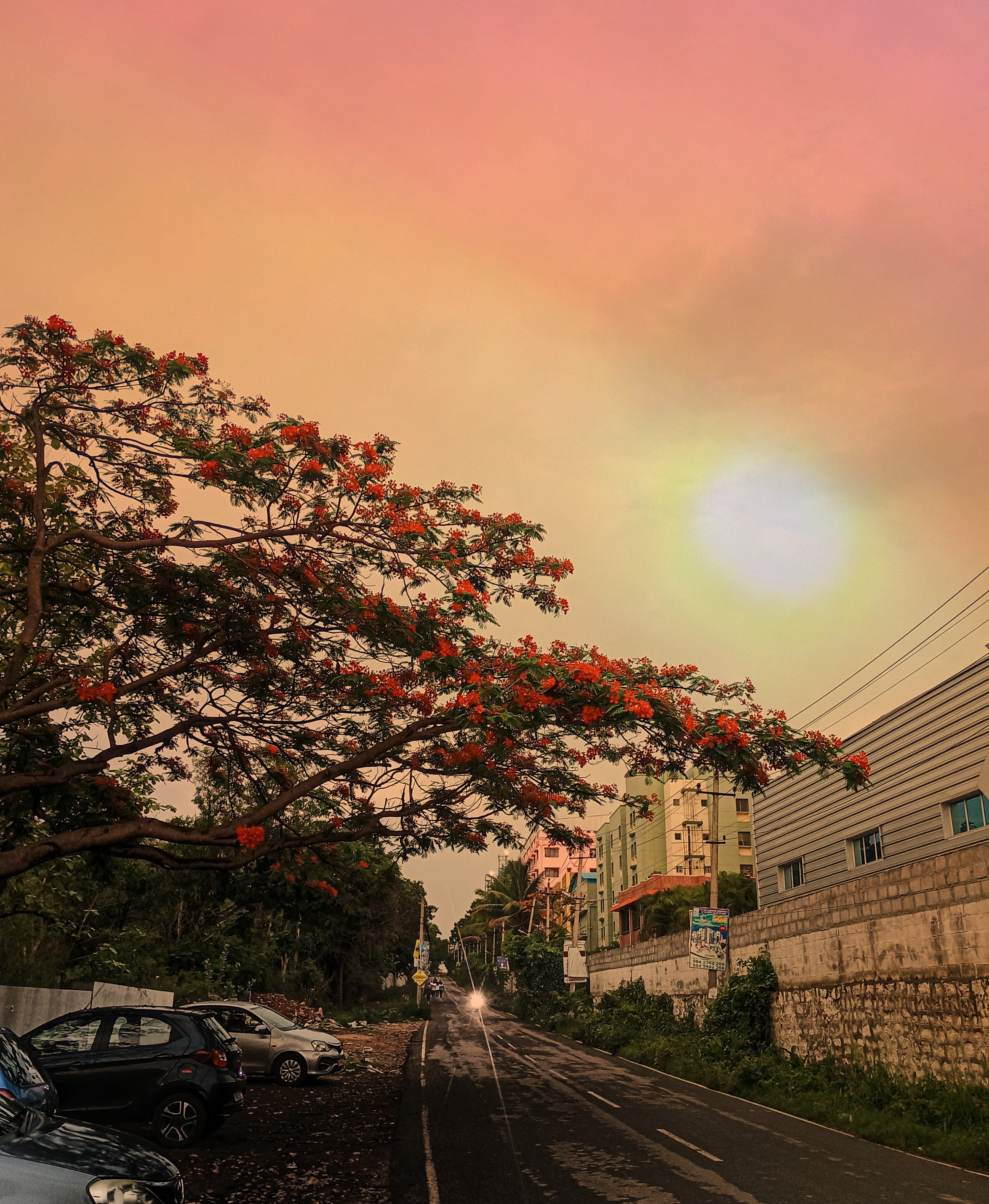 Sunset