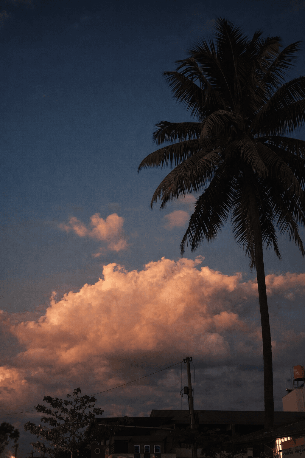 Cloud